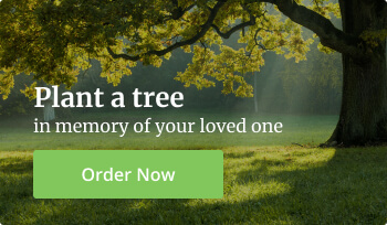 Plant a tree